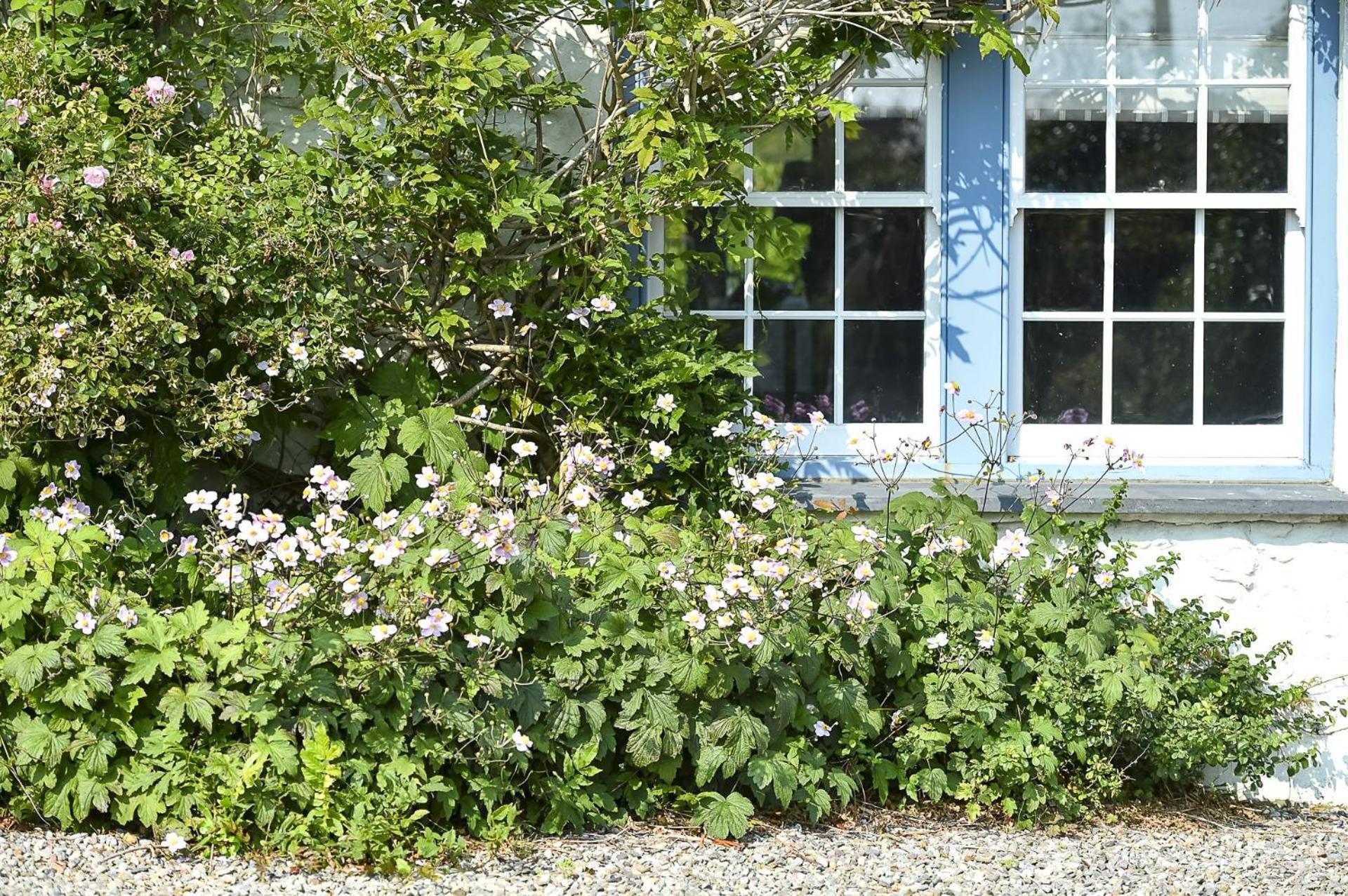 Villa Pen Y Bryn Abersoch Exterior foto